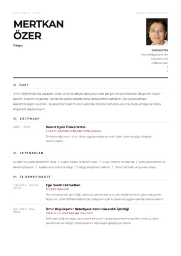 Dalgıç CV Örnekleri cv indir
